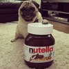 Nutella