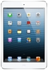 iPad mini (32 gb)