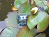 Квинтэссенция влаги - Super Aqua Ultra Waterfull Clear Cream от Missha