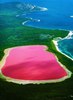 Розовое озеро Хиллер в Австралии