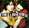 The Libertines Bound Together: The Story of Peter Doherty and Carl Barat and how they changed British Music