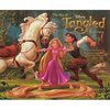 The Art of Tangled