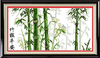 30701 "Bamboo" (DOME)