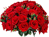 огромный букет красных роз))))