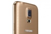 Galaxy s 5 Gold