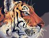 Живопись на холсте "Тигр", 40 см х 50 см