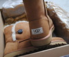 new UGG boots in chessnut