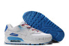 NIKE Air Max 90 Premium Kakigoori Pack Trainers Womens White Metallic Silver Laser Blue