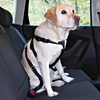 Автомобильный ремень безопасности для собак