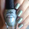 NailLOOK 31013