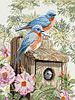 Птички в саду (Garden blue birds)