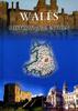 David Ross: Wales. History of a Nation