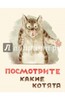 Владимир Матвеев: Посмотрите какие котята