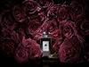 Jo Malone Velvet Rose & Oud