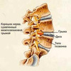 чтобы папа выздоровел