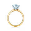 The Tiffany® Setting  18K Yellow Gold