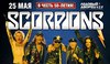 Билет на концерт Scorpions в Питере