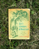 Оригинальный текст "Алисы в стране чудес" и "Алисы в зазеркалье".