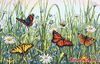 Dimensions Field of Butterflies 70-35271