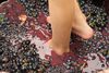 Давить виноград ногами