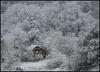 Пару дней в уютном доме в зимнем лесу