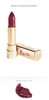 Dolce & Gabbana Monica Voluptuous Lipstick 120 Magnetic Monica