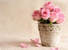 Букет | Розовые розы