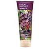 Desert Essence, Organics Shampoo, Italian Red Grape, 8 fl oz (237 ml) - iHerb.com