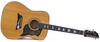 Acoustic guitar