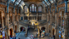 Natural History Museum in London