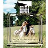 Ralph Lauren Romance