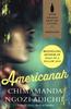 Chimamanda Ngozi Adichie 'Americanah'