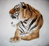 Набор для вышивки Тигр