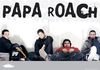 на Papa Roach