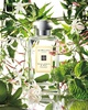 Jo Malone white jasmine & mint