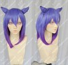 Cosplay wig with ears
