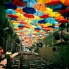 Увидеть аллею зонтов в Португалии