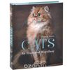 Cats: An Illustrated Miscellany