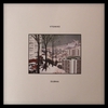 Винил Vtgnike - Dubna