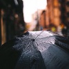umbrella