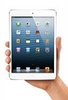 Ipad mini