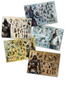 Assassin's Creed Collector Posters