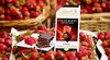 Lindt Strawberry