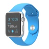 Apple Watch - 42mm Silver Aluminum Case with Blue Sport Band