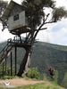 La casa del árbol Эквадор