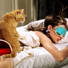 new sleepmask