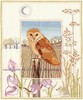 Набор для вышивки - WIL3 Barn Owl   (Derwentwater)