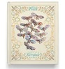 mister finch: living in a fairytale world