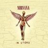 Nirvana In Utero