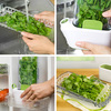Контейнер для хранения зелени 'Salad' - White